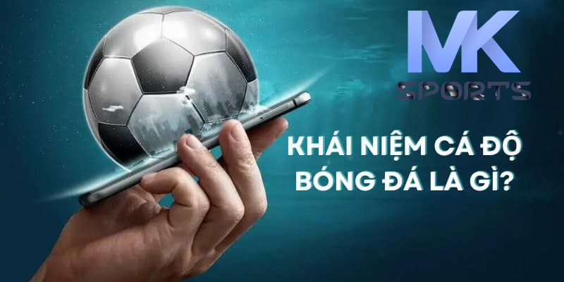 Kinh Nghiệm Cá Độ Mksports - Làm Chủ Cược Bóng Thông Minh!